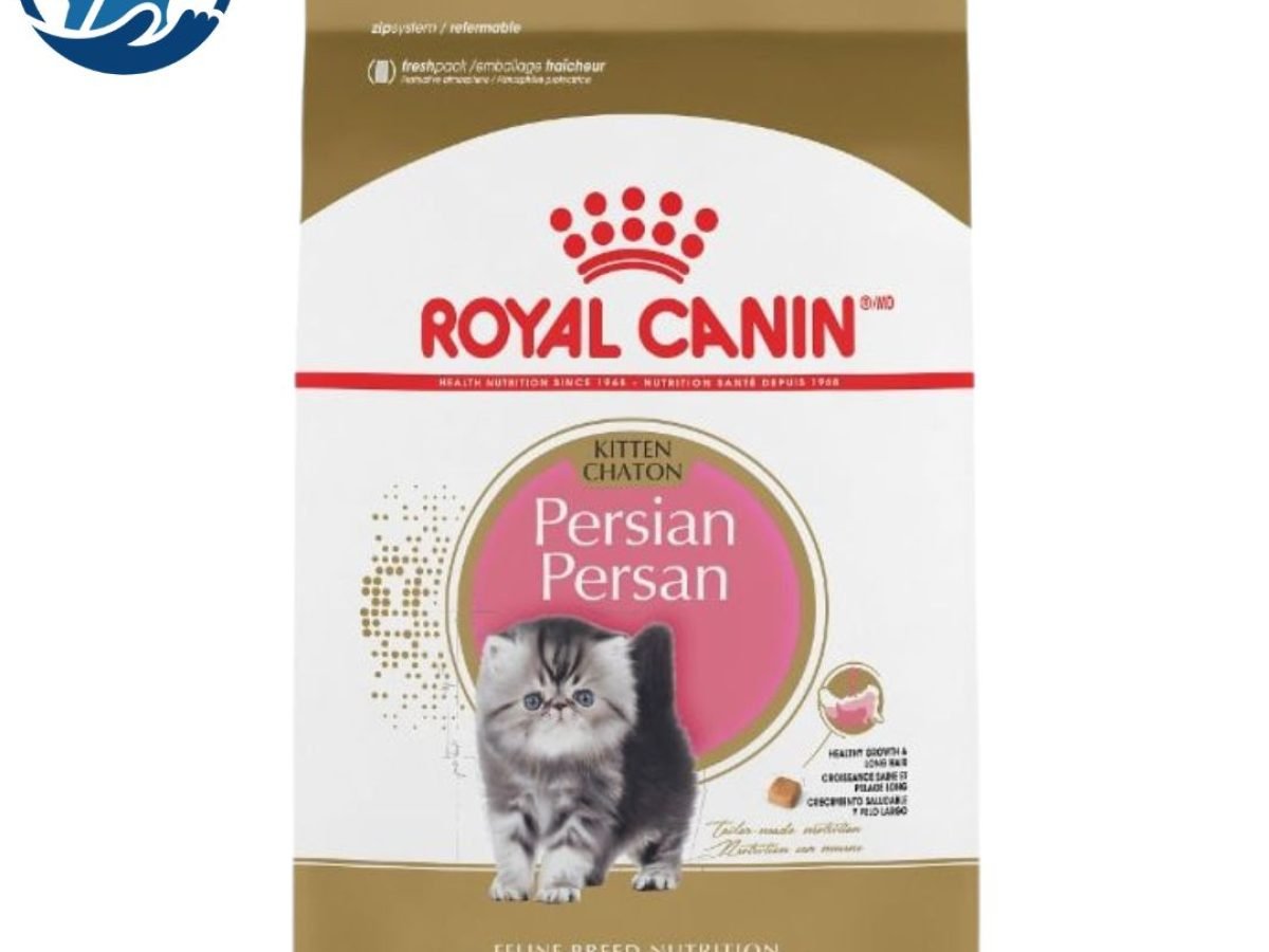 Royal Canin Persian Kitten Food 0.4kg 2kg 4kg 10kg Buy