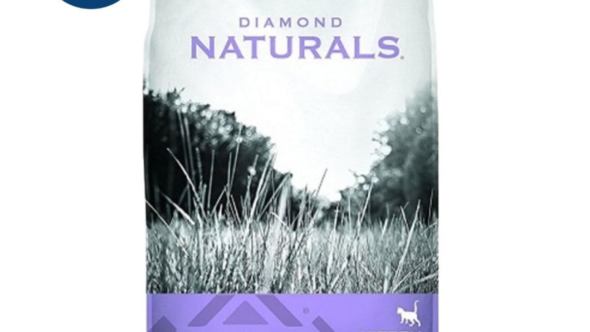 Diamond store naturals kitten