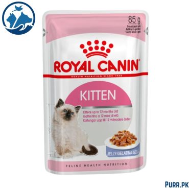 Royal Canin Kitten Jelly Wet Food