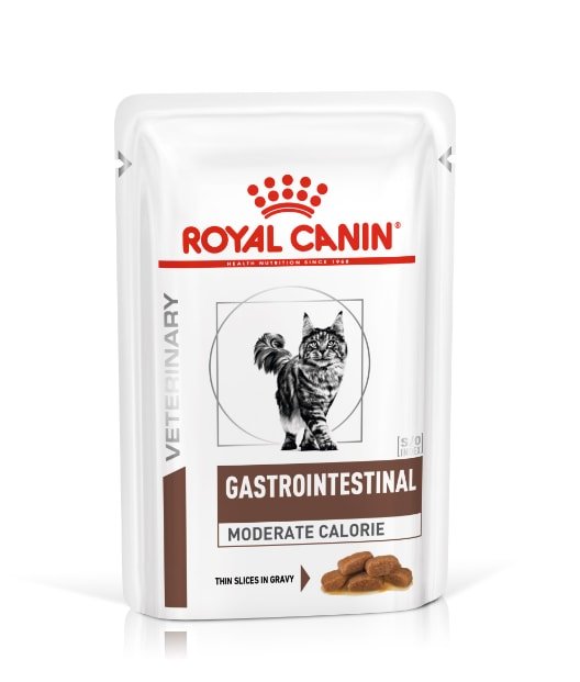 Royal Canin Gastrointestinal Cat Jelly