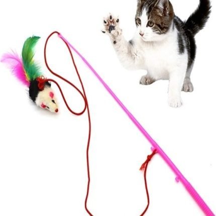 Cat Playing Stick Mouse