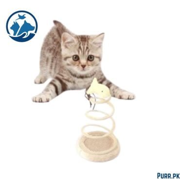 Cat Spring Scratcher Toy