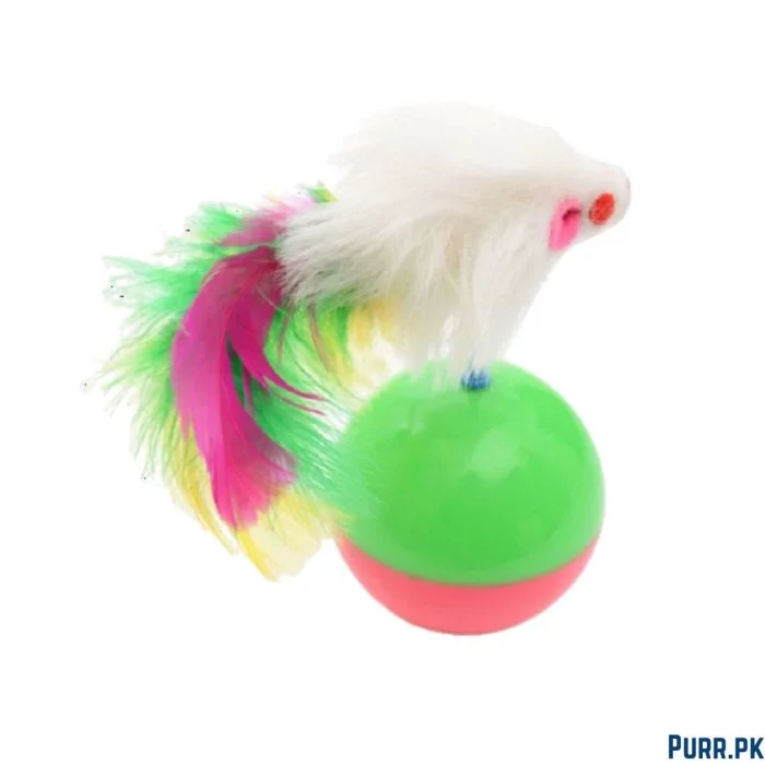 Ball With Mouse Toy