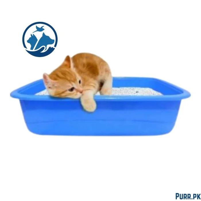 PawComfort Cat Litter Tray With Scoop