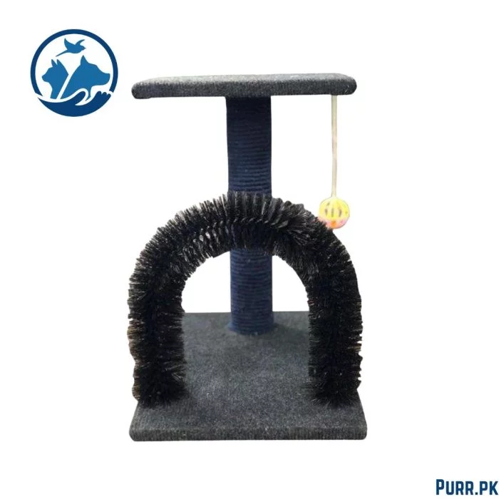 Scratching Post (2 in 1)