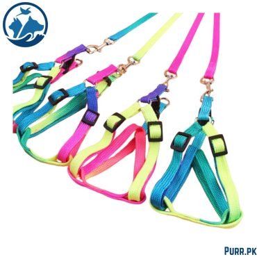 Square Multi Colour Leash With Harness