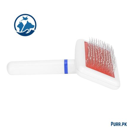 Plastic White Brush in Pack