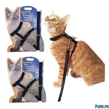 Cat Harness simple