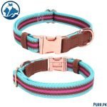 Multi Colour Soft Collar With Buckle