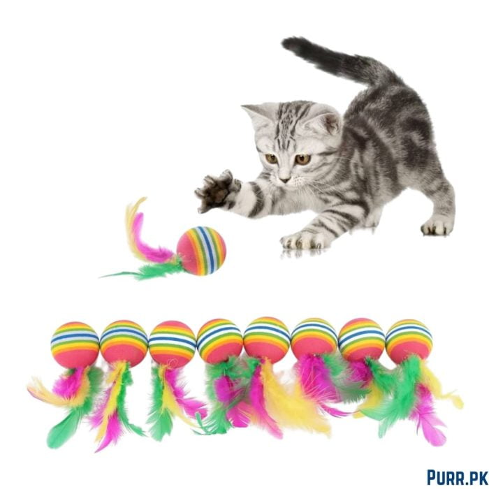 Ball With Feather Toy