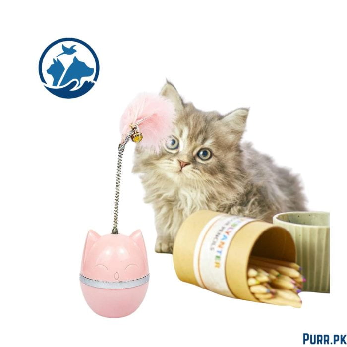 Spring Ball Cat Toy Simple