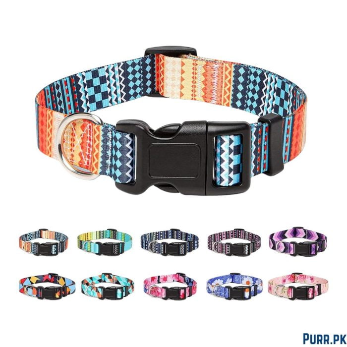 Multi Colour Soft Collar With Buckle
