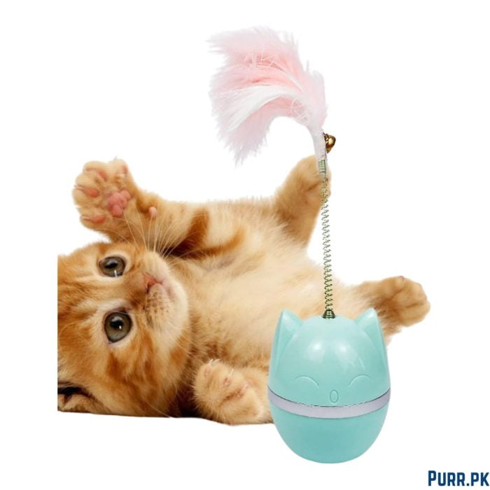 Spring Ball Cat Toy Simple