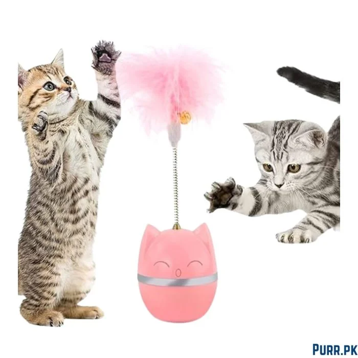 Spring Ball Cat Toy Simple