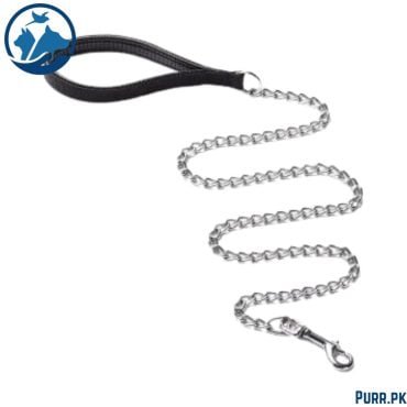 Chain Leash