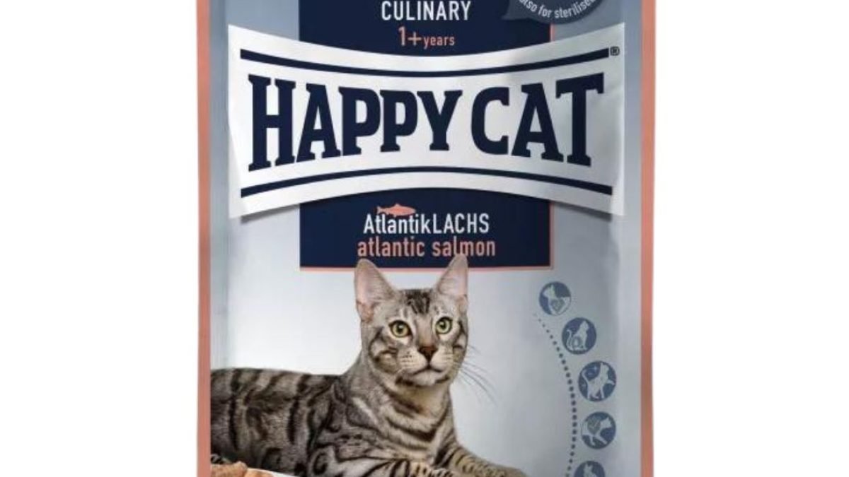 Happy cat clearance atlantic salmon