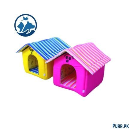 Cat House