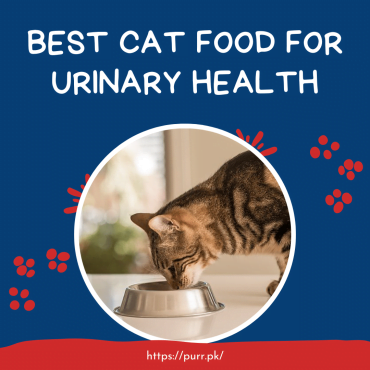 Best Cat Food For Urinary Health