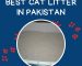 Best Cat Litter In Pakistan