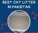 Best Cat Litter In Pakistan