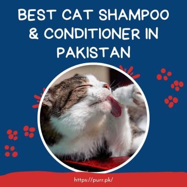 Best Cat Shampoo & Conditioner In Pakistan