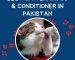 Best Cat Shampoo & Conditioner In Pakistan