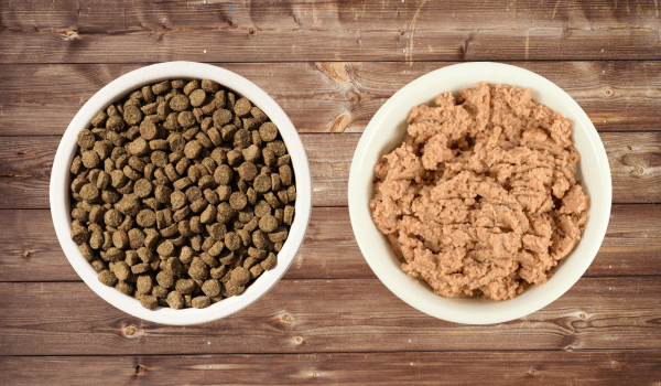 9 Best Cat Foods in Pakistan 2024 Brands for Adult Kittens