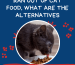 Ran Out Of Cat Food, What Are The Alternatives