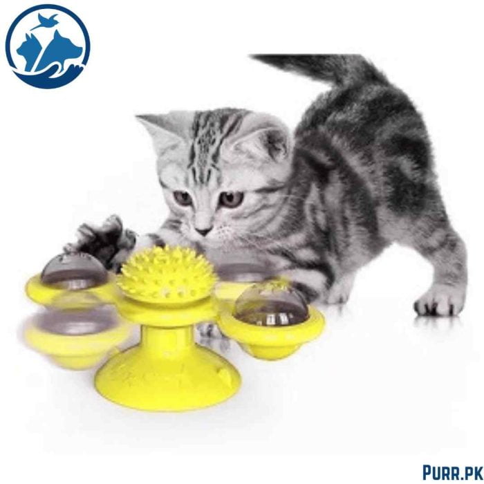 Cat Windmill Toy With Catnip & Light