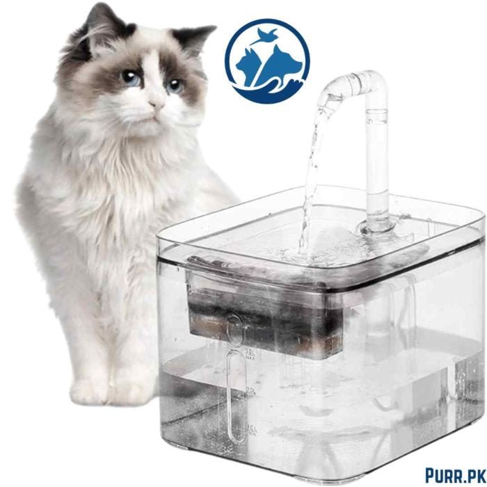 Transparent & White Cat Water Fountain