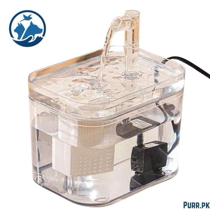 Transparent & White Cat Water Fountain