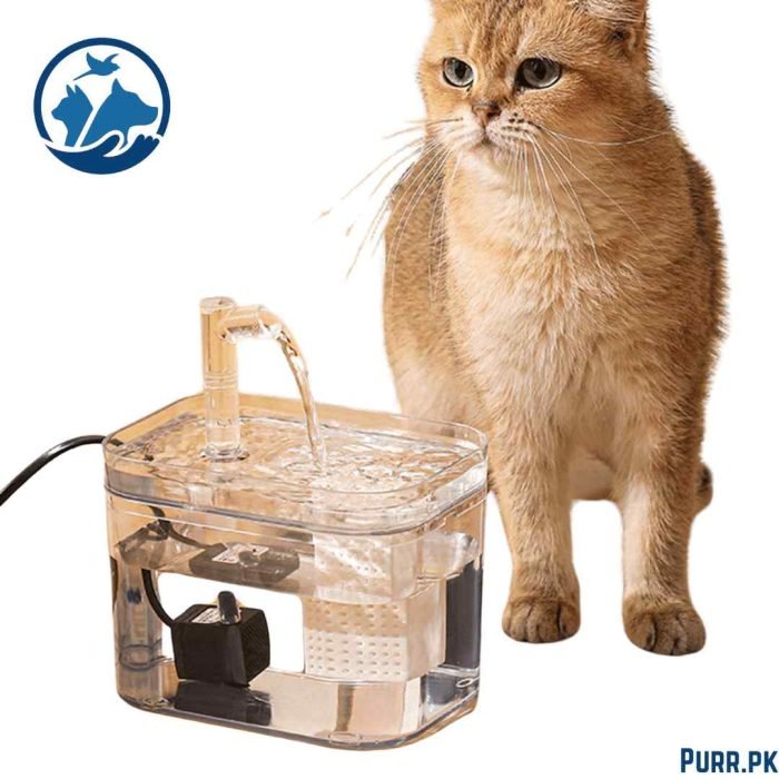 Transparent & White Cat Water Fountain