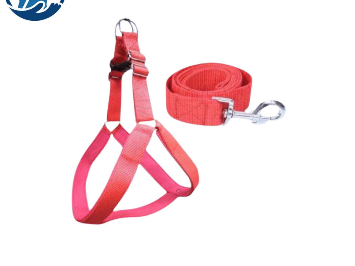 Puppy body leash best sale