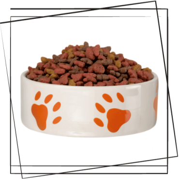 Dog Food