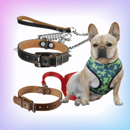 Dog Leashes, Collars & Harnesses