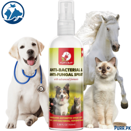 Fluff n Buff Anti Bacterial And Anti Fungal Spray – 100 ML