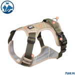 Full Body Harness For Dogs