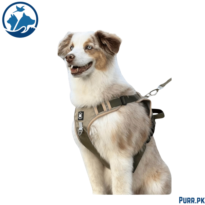 Full Body Harness For Dogs