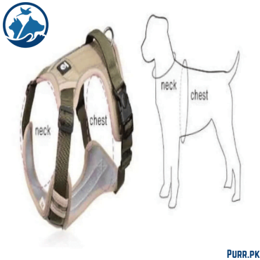 Full Body Harness For Dogs