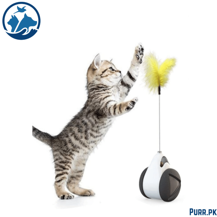 Funny Feather Balance Cat Toy