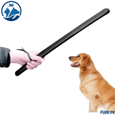 Heeling Sticks for Dogs