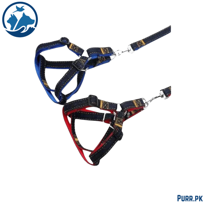 Jeans Harness