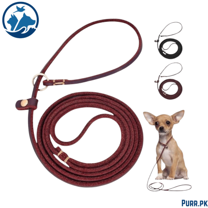 Leather Choke Leash