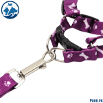 Puppy & Cat Harness