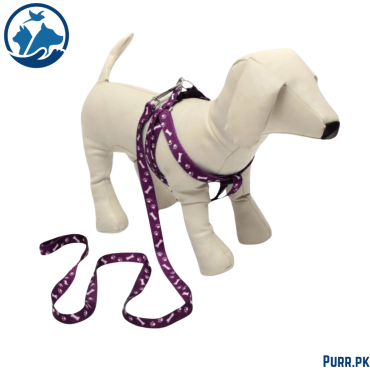 Puppy & Cat Harness