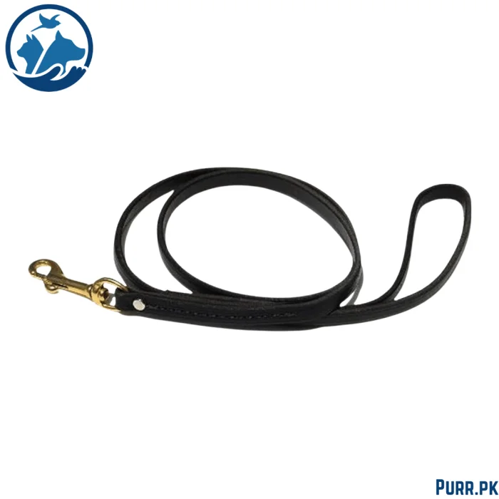 Square Leather Leash