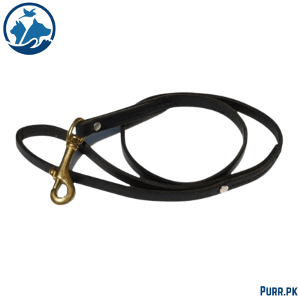 Square Leather Leash