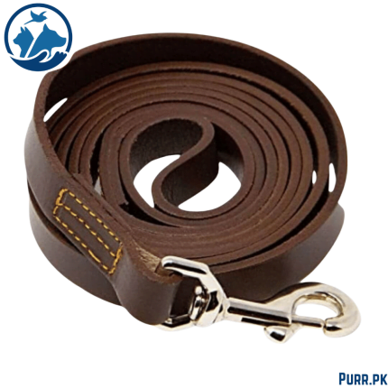 Square Leather Leash