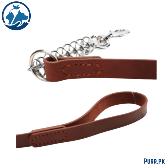 Square Leather leash High with Spring