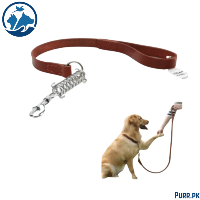 Square Leather leash High with Spring